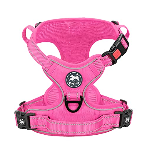 Pink(Matching Trim)