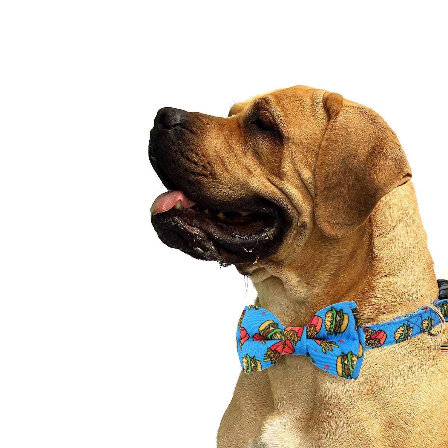 KUDES 2 Pack Adjustable Dog Collars with Bow Tie - Cute Pet Collar Set with Bells & Safety Buckle for Small Medium Large Dogs & Cats - Perfect for Birthday Parties, Halloween Costumes & Daily Walks (Hamburger+Sushi, L 14