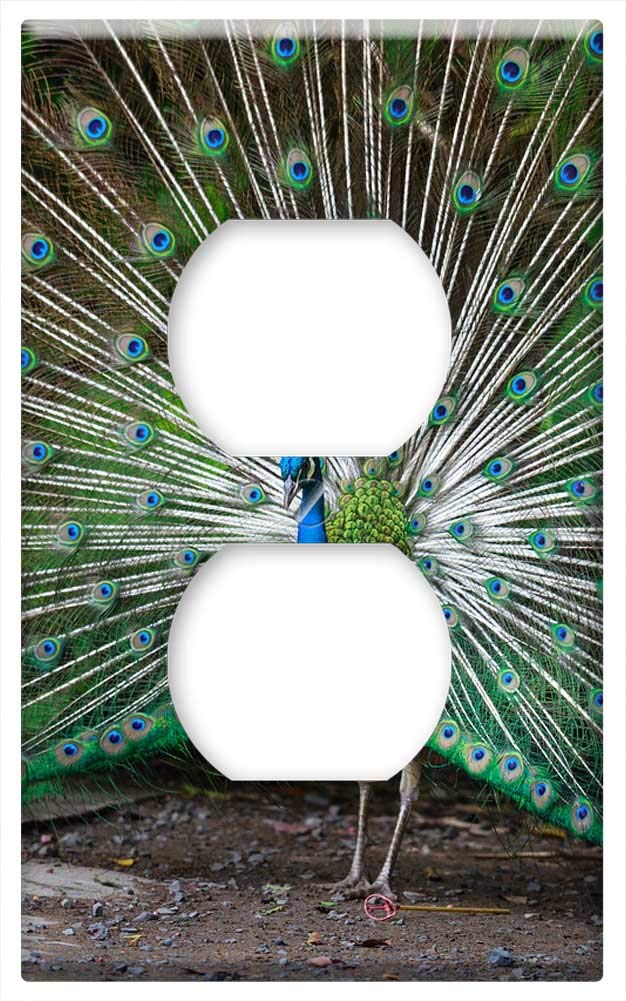 Peacock Feather Switch Plate Cover - Decorative Outlet Cover in Elegant Blue & Green for Home & Office Decor | Perfect for Living Room, Bedroom, or Bathroom