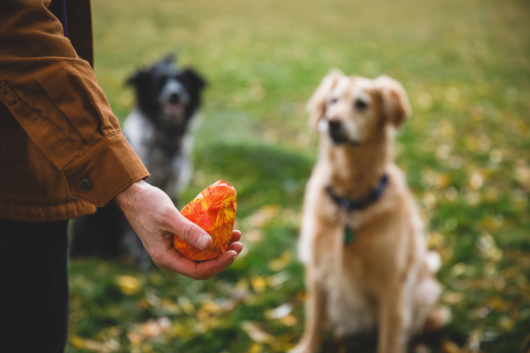 Ruffwear® Gnawt A Cone® Salamander Orange Dog Chew Toy & Treat Dispenser - Durable Interactive Play for Active Dogs, Perfect for Fetch, Training, and Outdoor Adventures