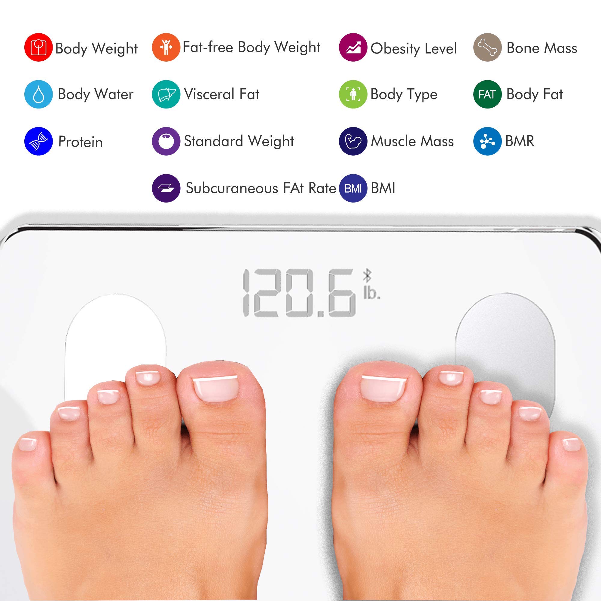 KONQUEST Smart Body Weight Scale - Digital Bathroom BMI Scale with Bluetooth, Body Fat & Composition Analyzer, Health Monitor, 400 lbs Capacity, White - Track Fitness Goals & Monitor Health Progress with Smartphone App for Home Gym & Wellness Routine