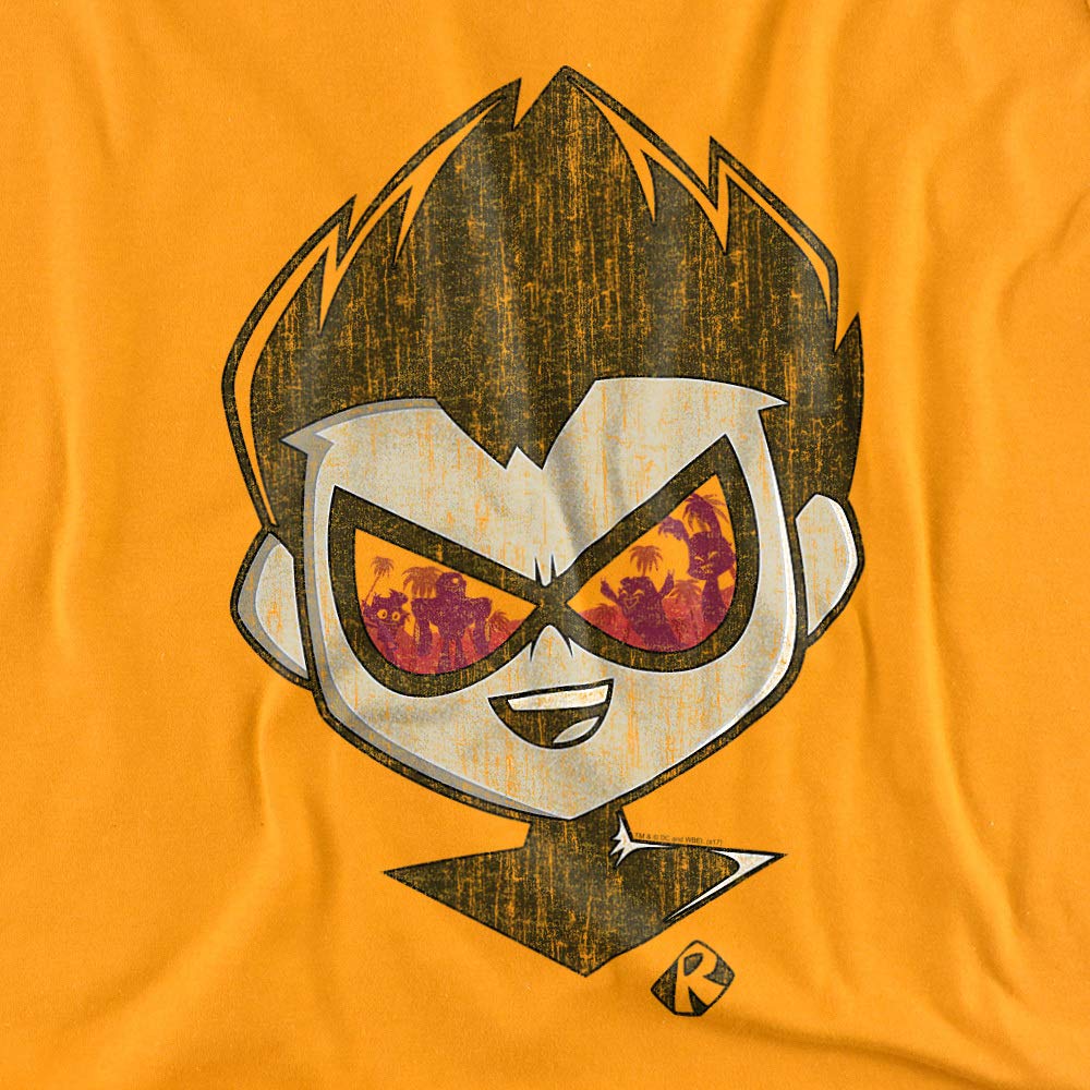 Teen Titans Go! to The Movies Beachy Robin Graphic T-Shirt - Unisex Adult T-Shirt for Men & Women - Casual Wear, Cosplay, Superhero Fan Gift