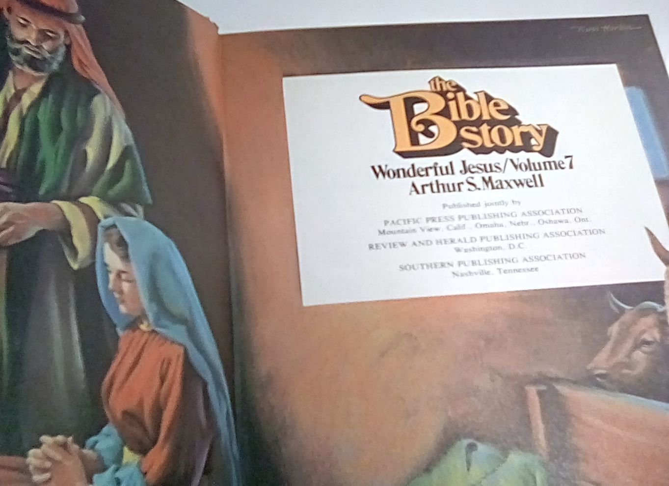 The Bible Story Vol. 7: Wonderful Jesus - Inspirational Christian Book for Kids & Adults, Perfect for Sunday School, Bible Study & Family Devotion Time
