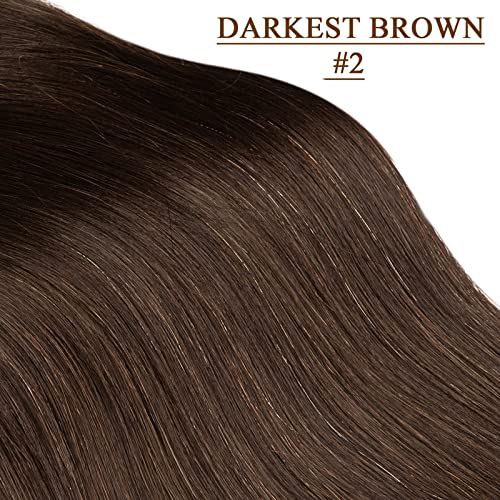 Dark Brown #2