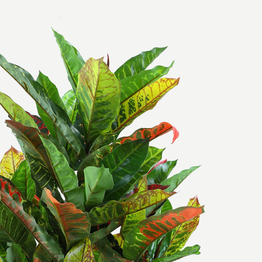 125cm Faux Artificial Codiaeum Variegatum Plant - Realistic Potted Croton Houseplant for Home Decor, Office, Living Room & Indoor Greenery