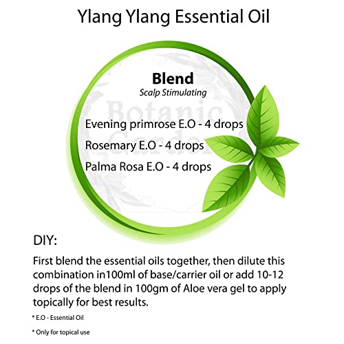 Botanic Garden Ylang Ylang Essential Oil (Cananga Odorata) - Strengthens Hair Roots, Reduces Hair Fall, Moisturizes Skin, Controls Acne - 50ml - Perfect for Aromatherapy, Massage & DIY Skincare