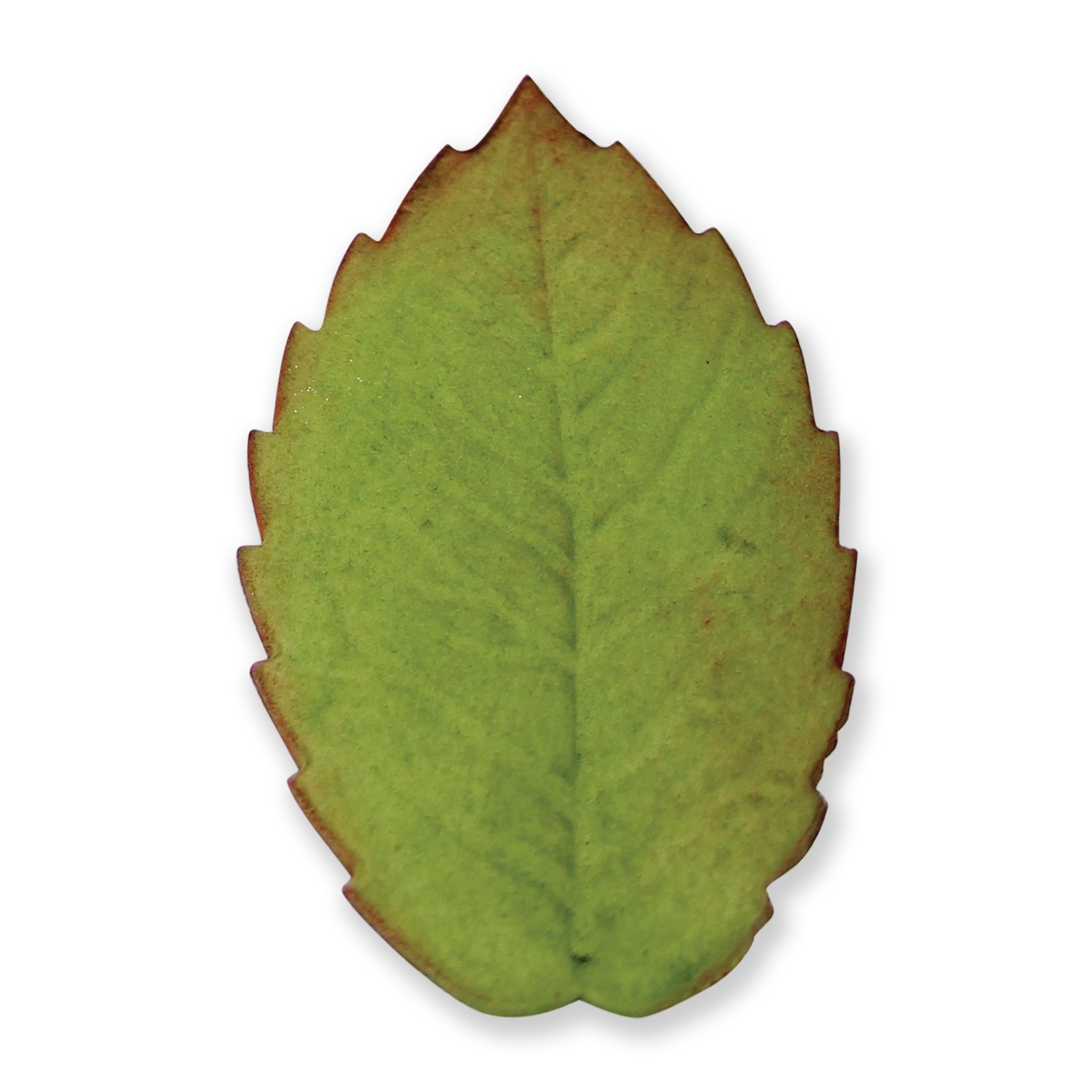 PME Veined Rose Leaf Plunger Cutter - Extra Large Fondant & Gum Paste Tool for Cake Decorating, Wedding Cakes, Cupcakes & Sugar Flowers
