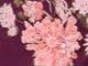 Dark Berry Sequin Floral