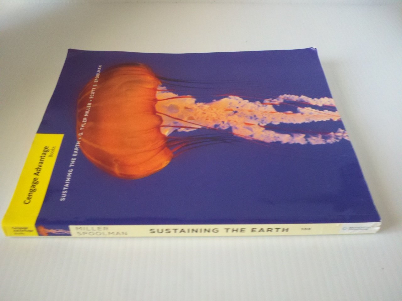Sustaining the Earth - Cengage Advantage Books | Environmental Science Textbook for College Students | Perfect for Ecology Courses & Sustainable Living Studies