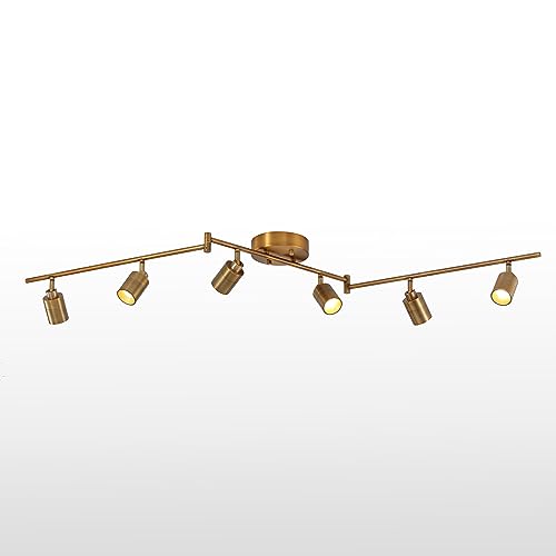 Brushed Brass - 6 Head Swivel Track