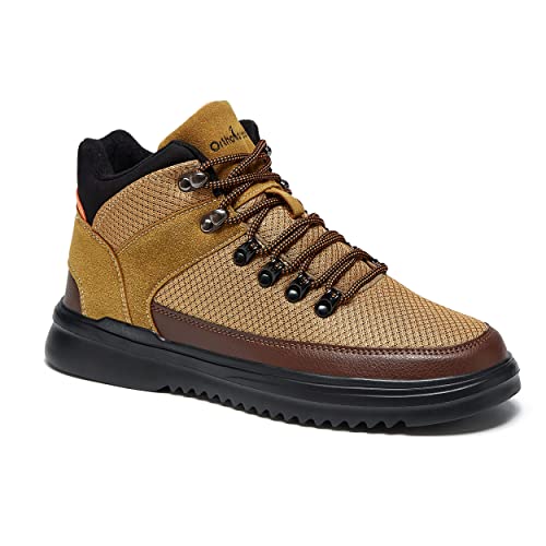 W2-brown