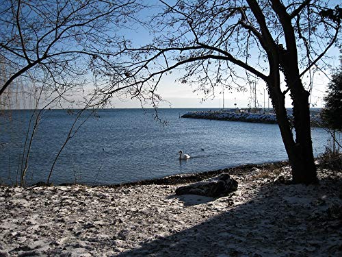 20x30 Inch Laminated Nature Poster - Vibrant Snowy Lake & Trees Landscape Wall Art for Home Decor | Perfect for Living Room, Bedroom & Office Framing