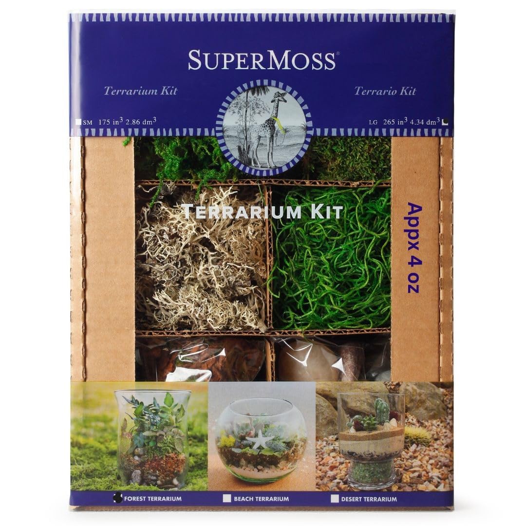 SuperMoss (90423) Premium Terrarium Kit - 4 oz Forest Moss for DIY Terrariums, Fairy Gardens & Indoor Plant Decor - Natural Decorative Moss for Home, Office & Creative Projects