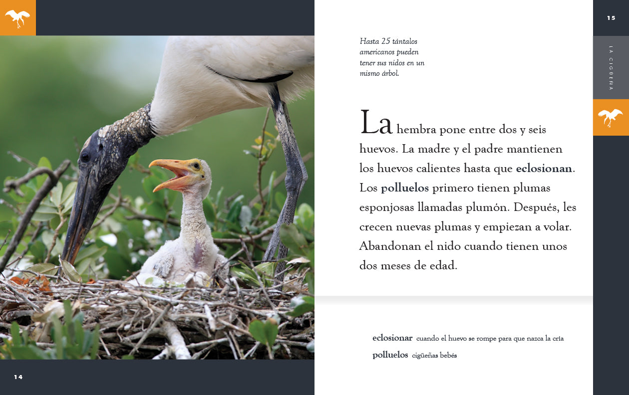 La Ciguena 9781640266988 - Spanish Children's Book for Early Learning & Bedtime Stories - Perfect for Kids' Reading Time & Family Bonding