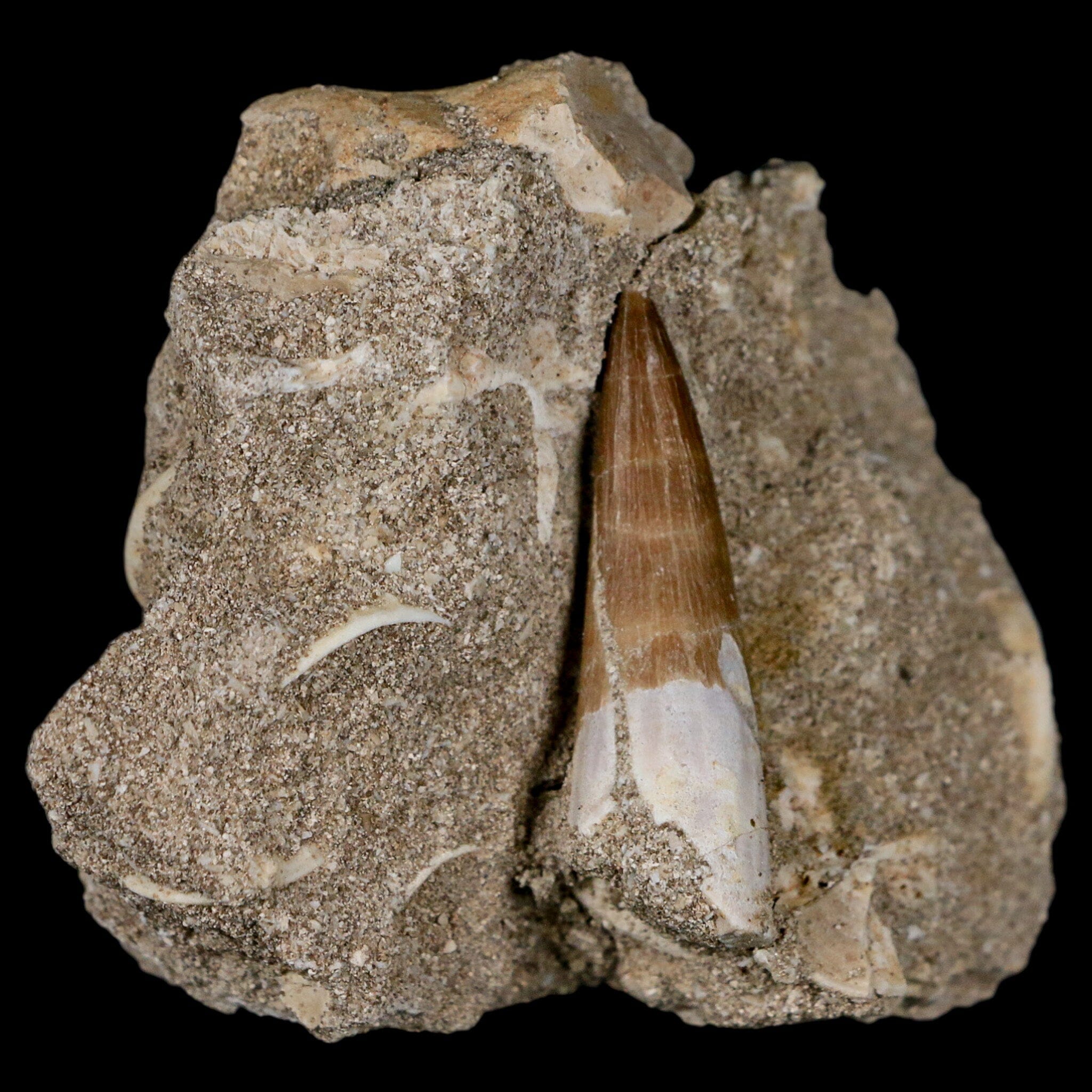 1.5