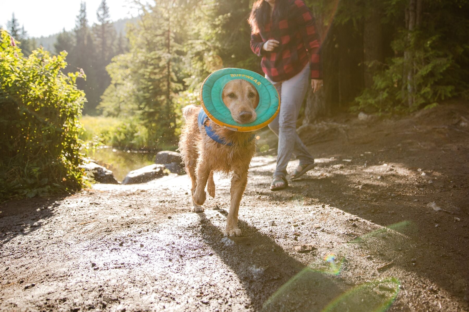 Hydro Plane™ Bioluminescent Blue Floating Dog Disc - Water Fetch Toy for Dogs - Ruffwear® - Perfect for Beach, Pool & Outdoor Play