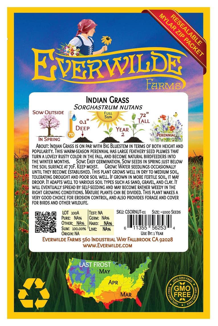 Everwilde Farms 1000 Indian Grass Native Seeds - Premium Gold Vault Jumbo Packet for Landscaping, Erosion Control & Prairie Restoration | Drought-Resistant Ornamental Grass for Gardens & Wildlife Habitats