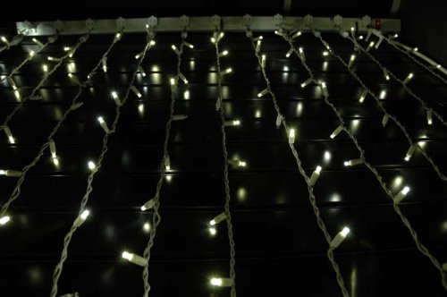 50 LED Twinkle Christmas Mini Lights - 25ft Outdoor Fairy String Lights for Wedding, Party & Home Decor - Warm White & White - Non-Connectable - Weatherproof for Patio, Garden & Indoor Use