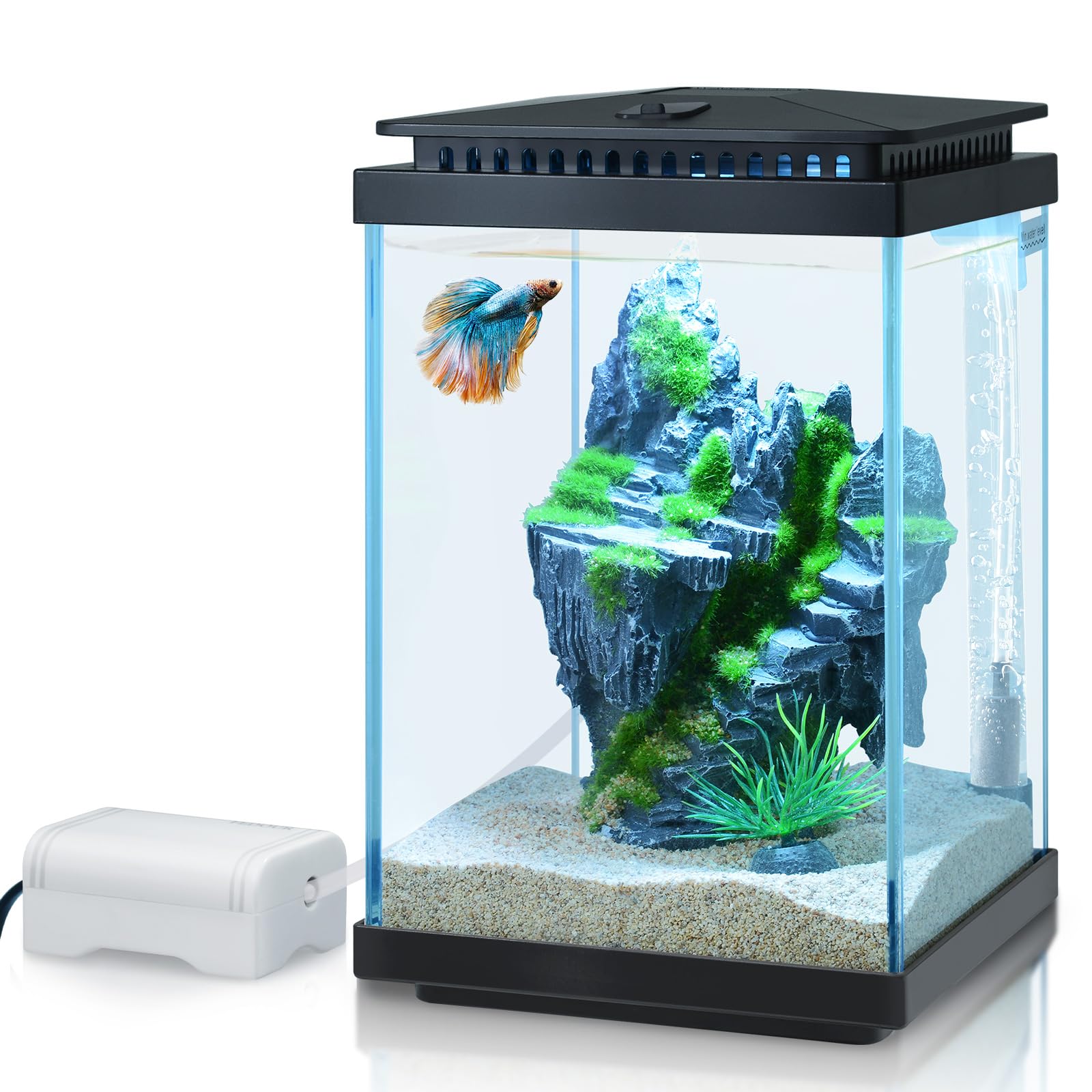 FEDOUR 1 Gallon Small Glass Aquarium Tank - Desktop Betta Fish Bowl with LED Light, Air Pump, Water Changer & Fish Net - Complete Mini Aquarium Starter Kit for Home/Office Decor (Black) | Perfect for Betta Fish, Shrimp or Small Aquatic Plants in Bedroom, Living Room or Workspace