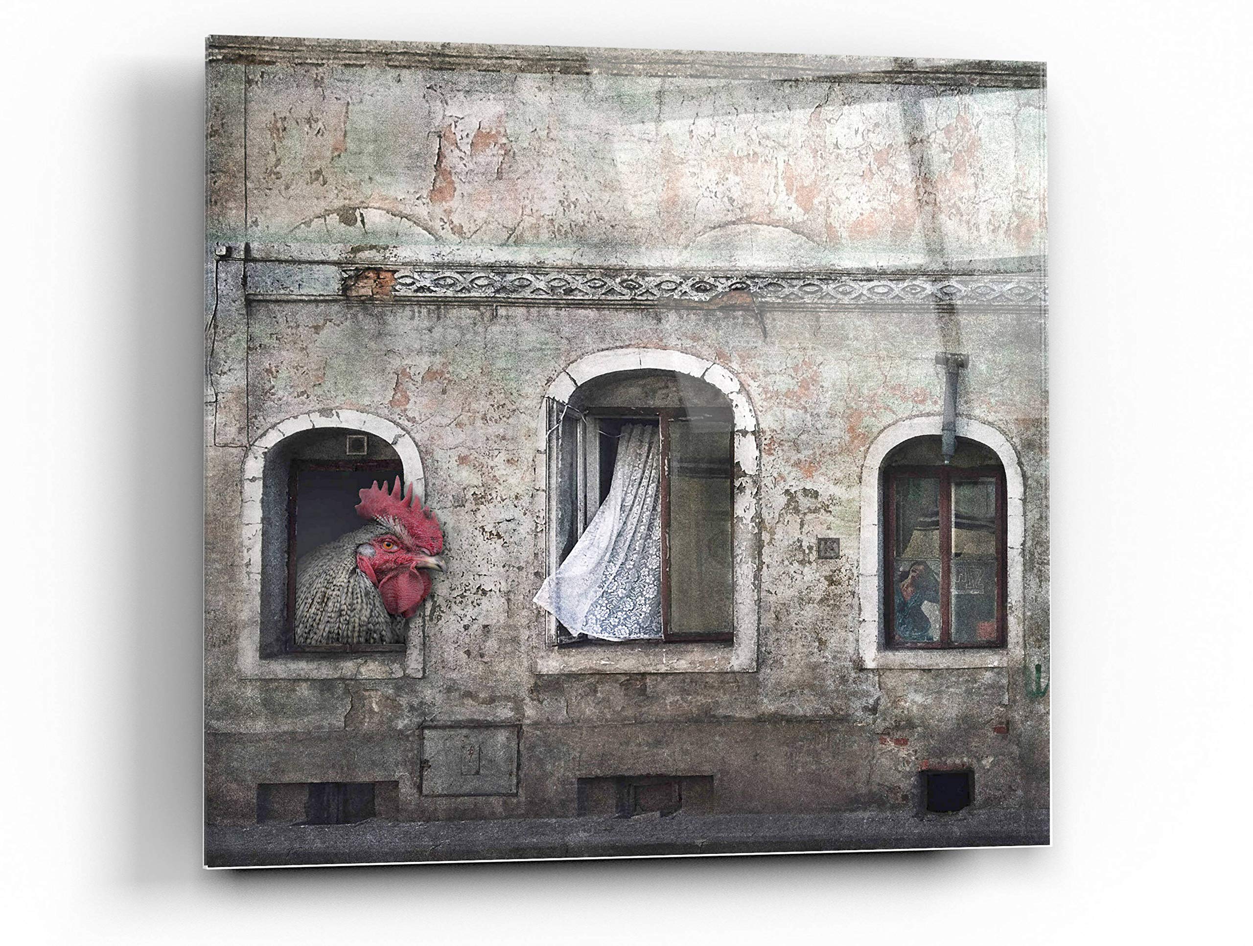 Epic 'Kogut Domowy' Rooster Wall Art by Dariusz Klimczak - 24x24 Inch Acrylic Glass Modern Home Decor - Perfect for Living Room, Bedroom, or Office Wall Decor