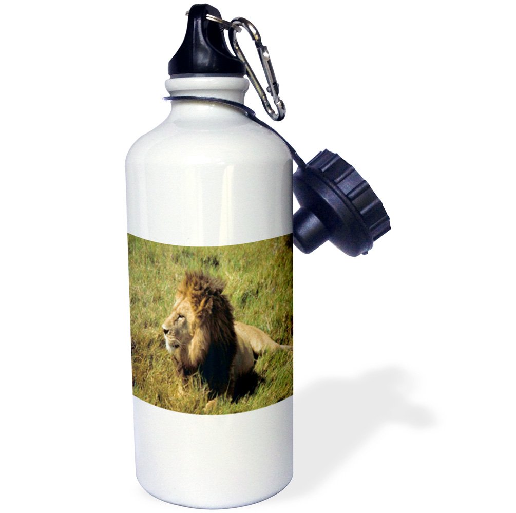 3D Rose African Male Lion Sports Water Bottle - 21oz Insulated Stainless Steel Water Bottle for Gym, Hiking & Outdoor Activities - BPA Free White Water Bottle with Leakproof Lid
