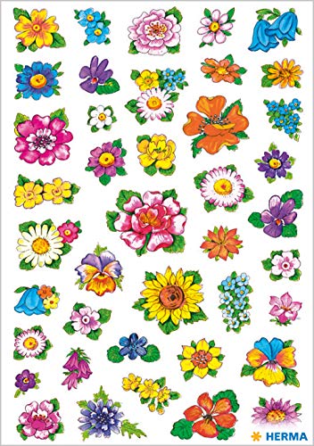 Small Flower Heads