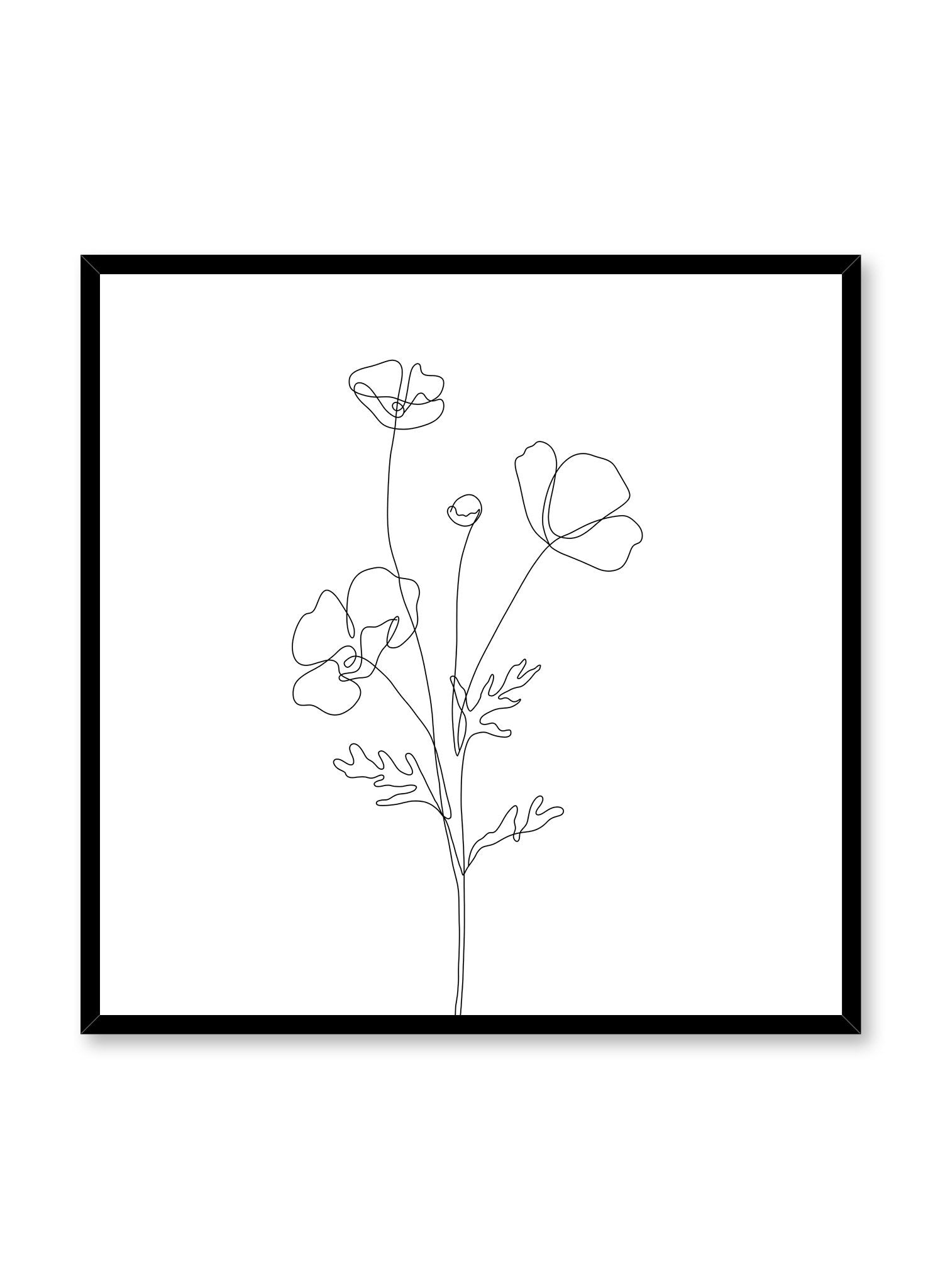Poppy Sketch Art Print Poster - Floral Botanical Wall Decor for Home, Office & Gift - Perfect for Living Room, Bedroom & Nursery