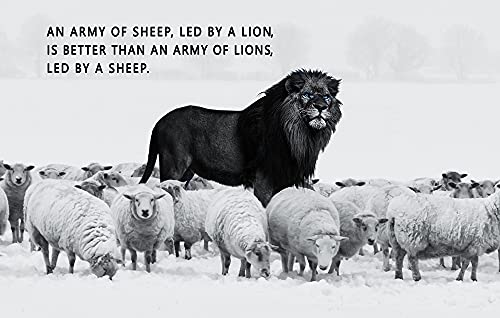 Lion Mindset Wall Art
