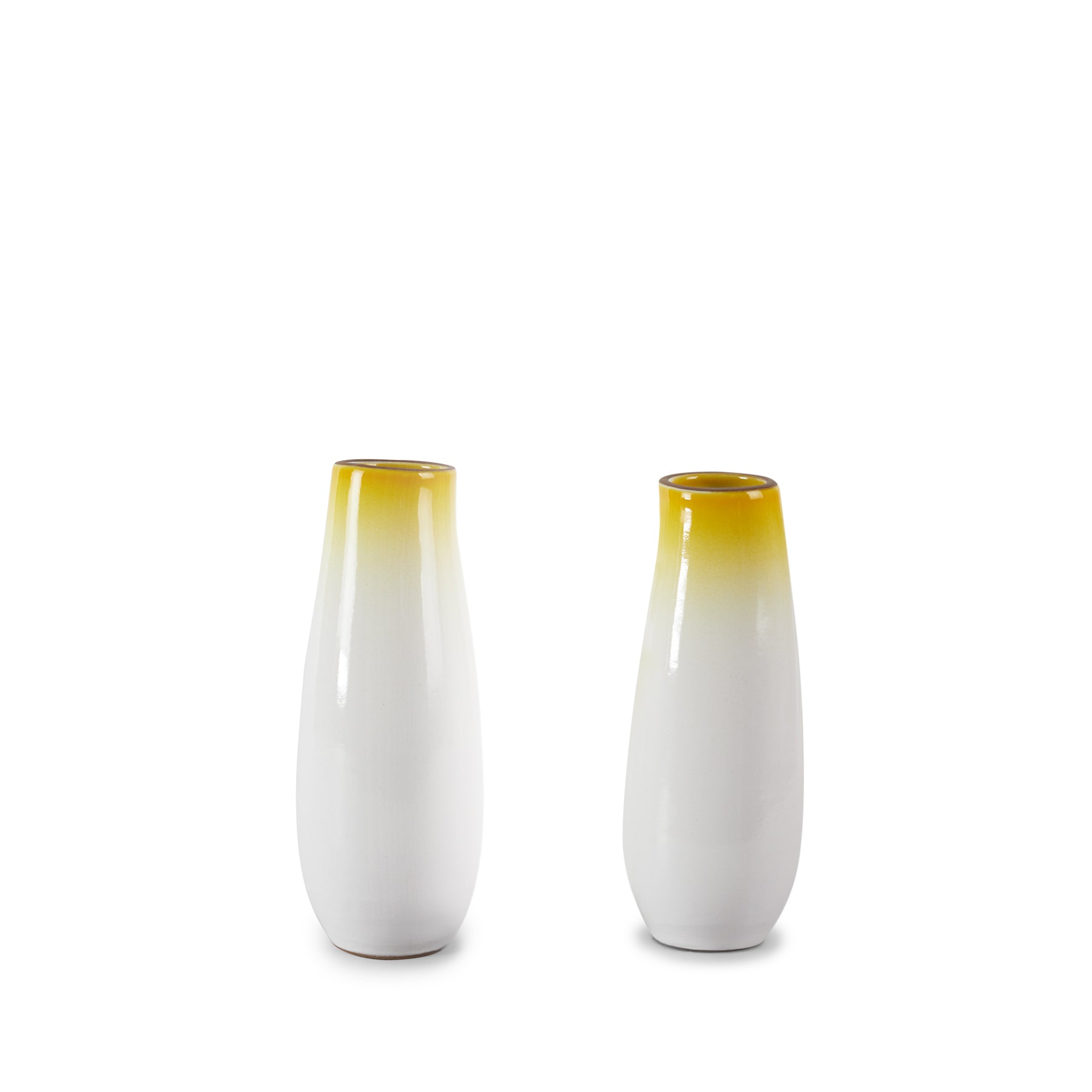 Yuzu Gradient Sprout Vase - Elegant Glass Planter for Small Plants & Flowers | Perfect for Home Decor, Office Desk, and Wedding Centerpieces