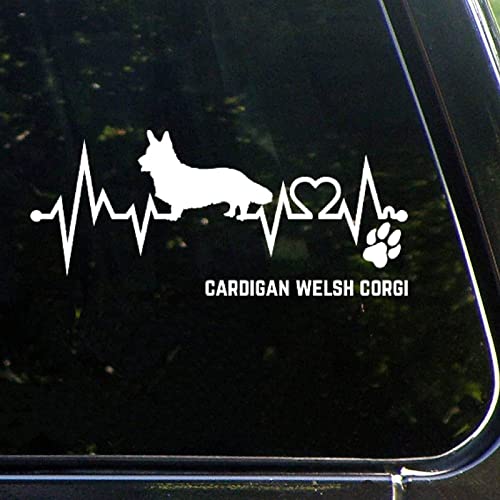 Cardigan Welsh Corgi