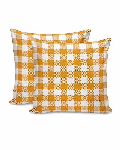 Lattice3538