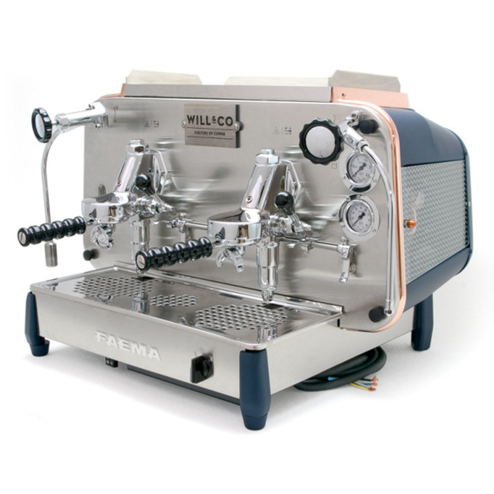 Premium Will & Co. Coffee #46 - Specialty Arabica Beans for Rich Flavor | Perfect for Home Brewing, Office Use & Gifts