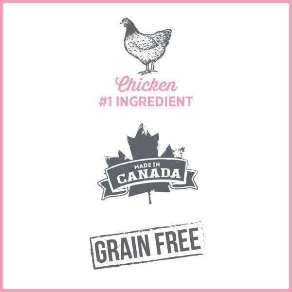 Nutrience Care+ Urinary Health Canned Cat Food for Adult Cats - Wet Food for Urinary Tract Support & Kidney Health - Ideal for Cats with Urinary Issues at Home or Vet Care