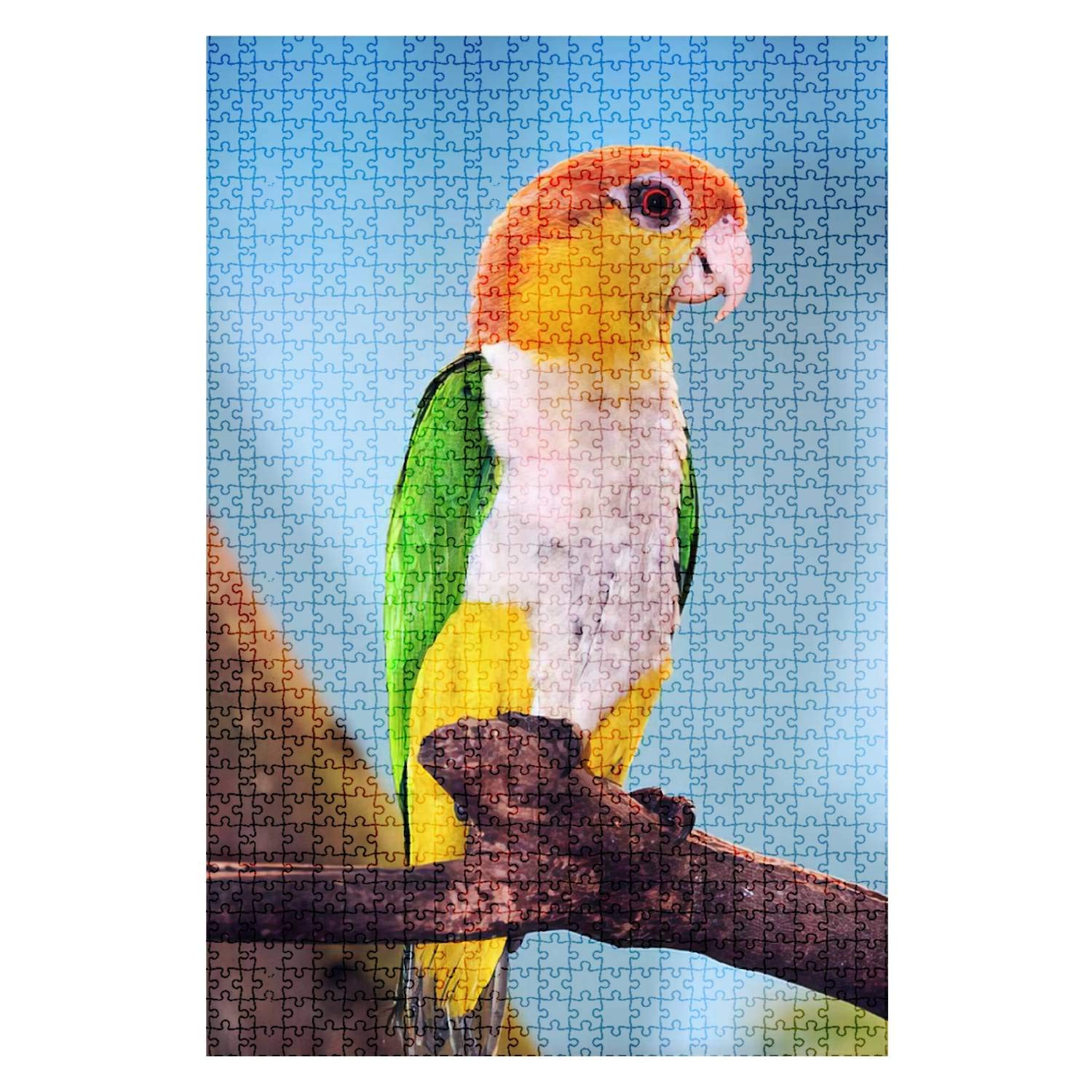 1000-Piece Wooden Jigsaw Puzzle - White-Bellied Caique & Yellow Parrot - Fun & Challenging DIY Board Game for Adults & Kids - Educational Toy & Home Decor Gift (Perfect for Family Game Nights & Classroom Activities)