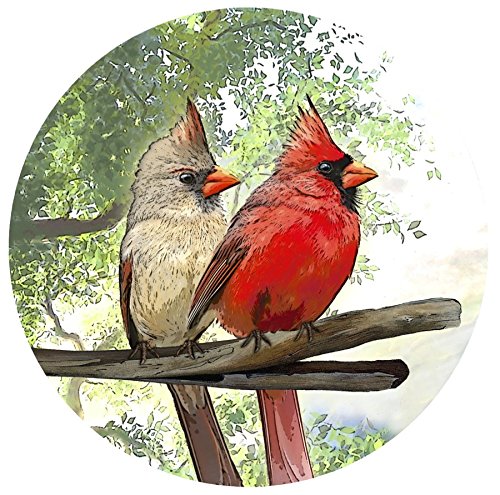 Twist Click Lock Screen Door Magnets – Secure Magnetic Screen Door for Pets & Kids – Magnetic Indicator & Decoration – Robbins Aria Cardinal – Perfect for Patio, Deck & Backyard Safety
