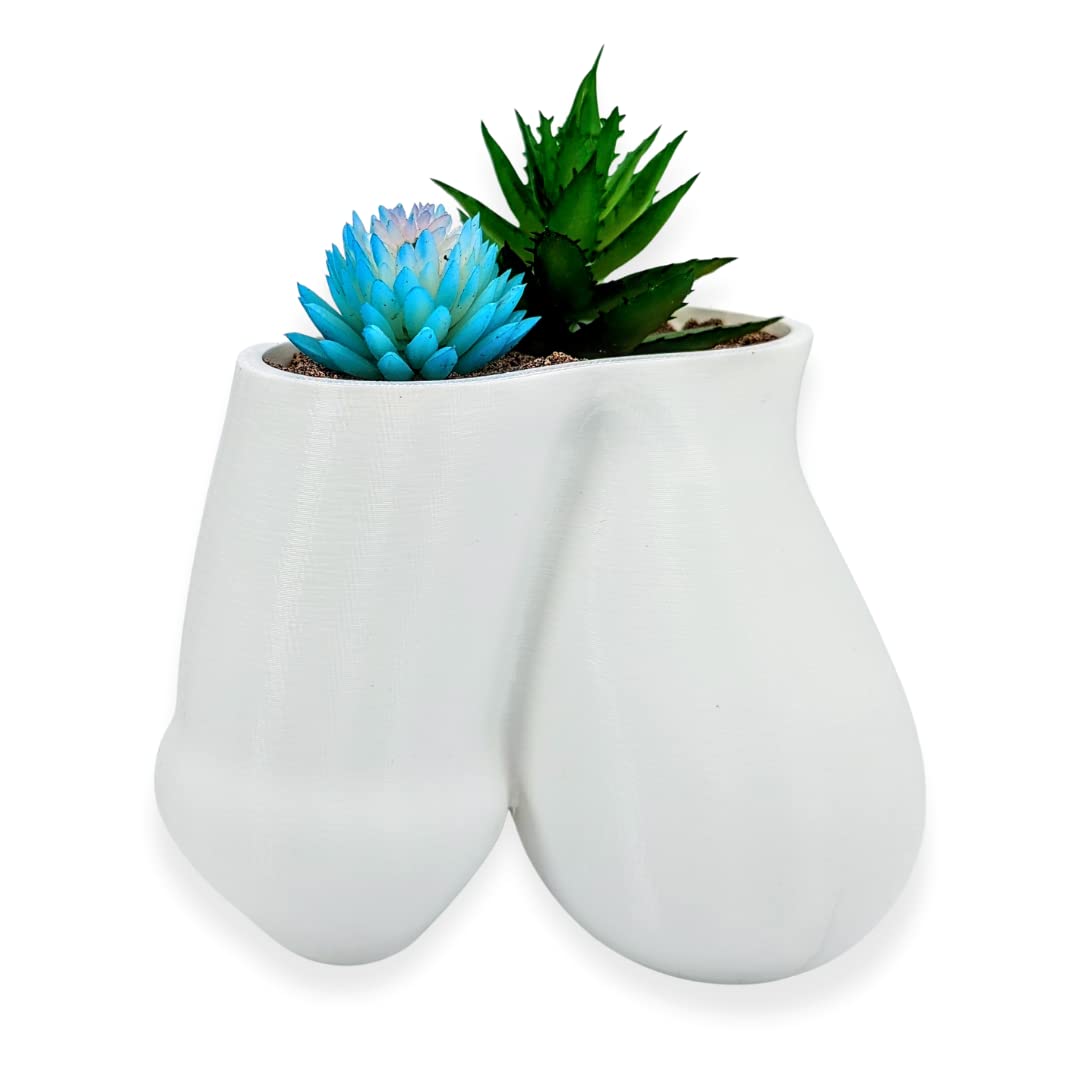 Succulent Penis Planter Pot - Male Body Shaped Plant Pots - Unique Anatomy Home Decor - White Balls Planter for Succulents & Small Plants | Perfect for Home Office, Garden Decor & Funny Gifts
