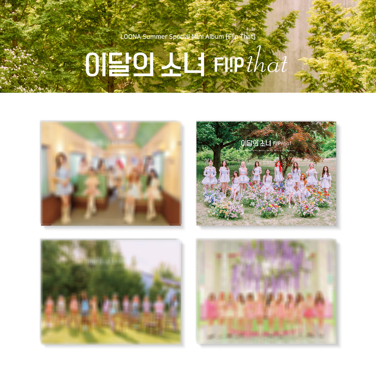 LOONA SUMMER SPECIAL MINI ALBUM 'FLIP THAT' - K-Pop Music CD for Fans, Collectors & Gift Giving - Perfect for Summer Playlists, Parties & K-Pop Collections