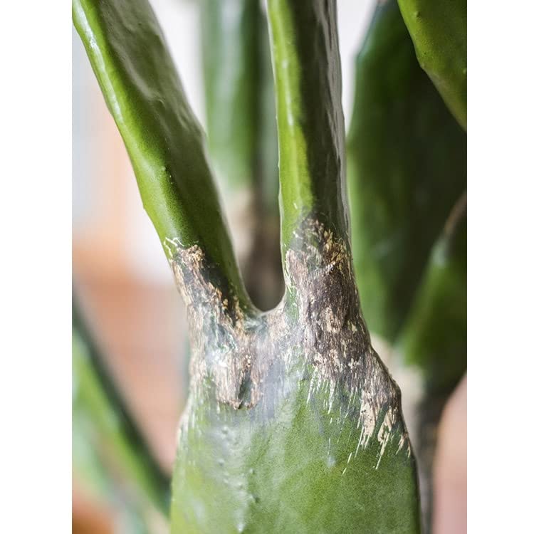 Artificial Morelos Cactus Plant - Lifelike Fake Cactus Decor for Home, Office & Indoor Spaces - Perfect for Boho, Modern & Desert Style Decorations