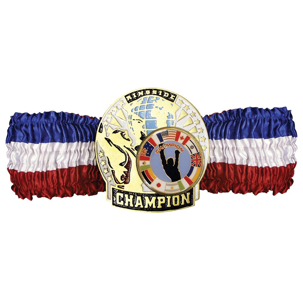 Ringside Economy Championship Belt - Authentic Wrestling Title Belt for Competitions & Cosplay | Perfect for Wrestling Events, Halloween Costumes & Collectors