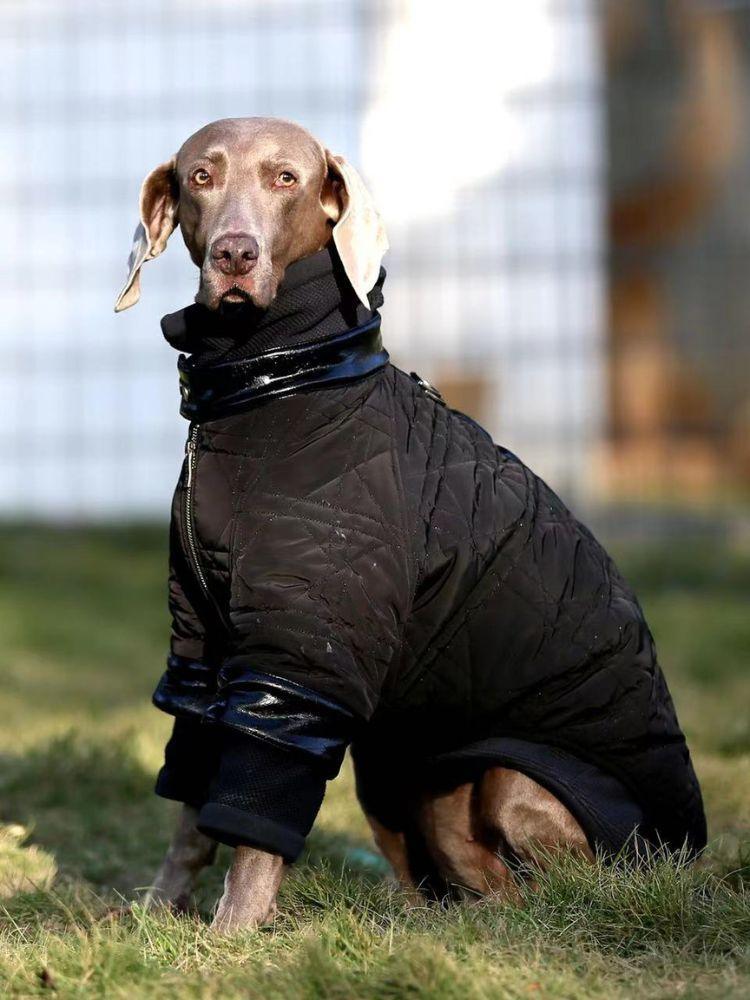 Quilted Puffer Jacket for Women & Men - Lightweight Warm Winter Coat with Stylish Shadow Stitch Design - Perfect for Outdoor Activities, Travel & Casual Wear