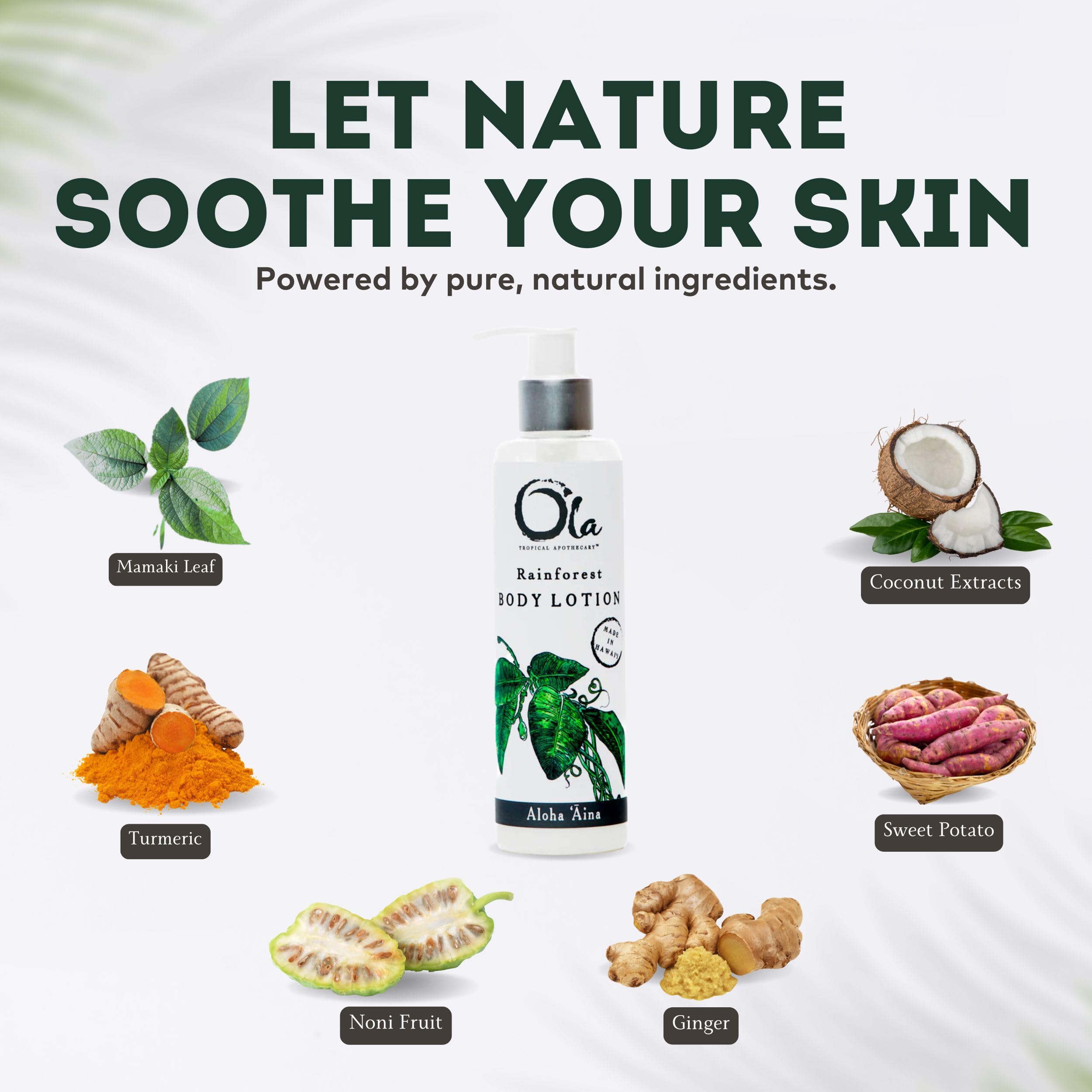 Ola Rainforest Body Lotion with Pure Tropical Oils & Plant Extracts - 8.45 Fl Oz - Hydrating Moisturizer for Dry Skin - Perfect for Daily Use & Spa Days