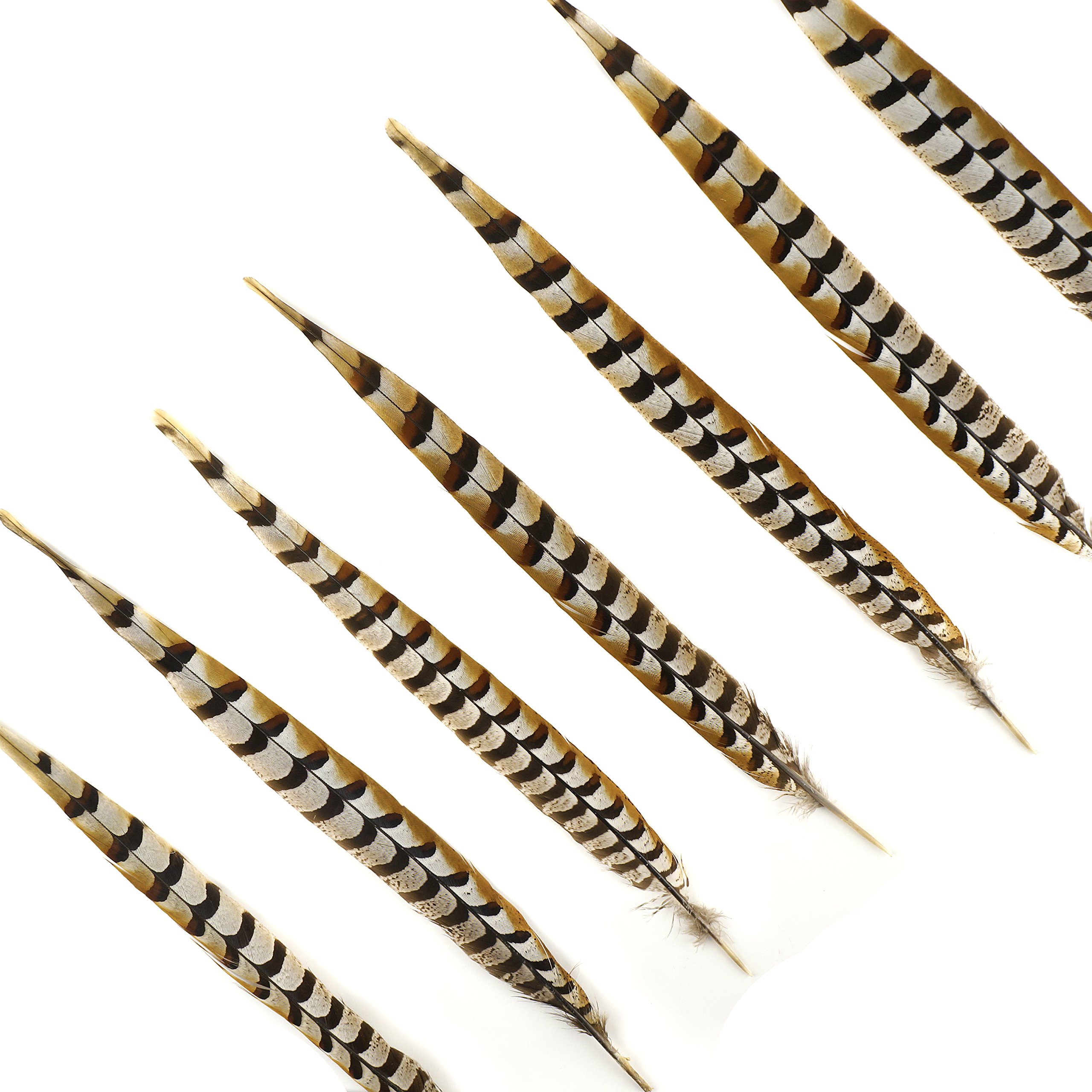 Natural Golden Brown Pheasant Tail Feathers - 16-20 Inch Craft Supplies for DIY Home Decor, Fly Tying, Costume Accessories (12 Pieces) - Perfect for Wedding Centerpieces, Bohemian Room Decor & Fishing Lures