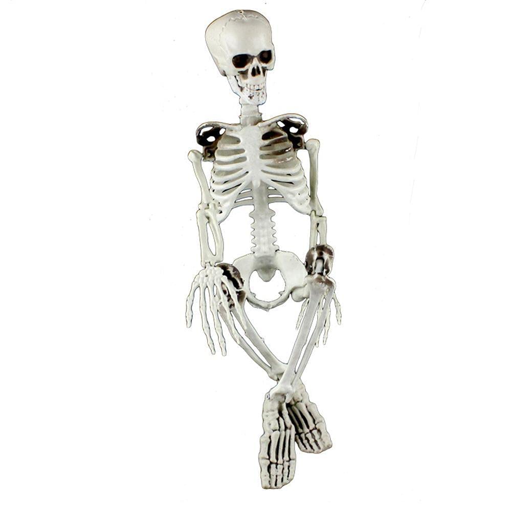 Life-Size Halloween Human Skeleton Decor - Full Body Skull & Bone Props for Hanging - Spooky Graveyard & Haunted House Party Decoration | Perfect for Halloween Parties, Haunted Attractions, and Themed Events