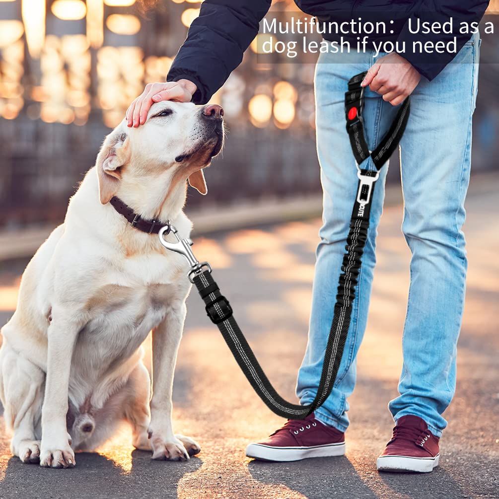 2-Piece Retractable Dog Seat Belt Set - Adjustable Heavy Duty Pet Car Harness for Vehicle Headrest Restraint | Durable & Elastic Dog Car Safety Belt for Small Medium Large Dogs | Perfect for Road Trips, Daily Commutes & Vet Visits