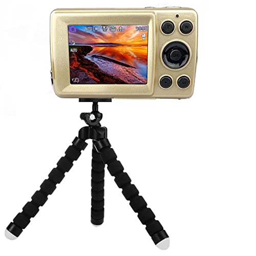 Vlogg Kit Gold