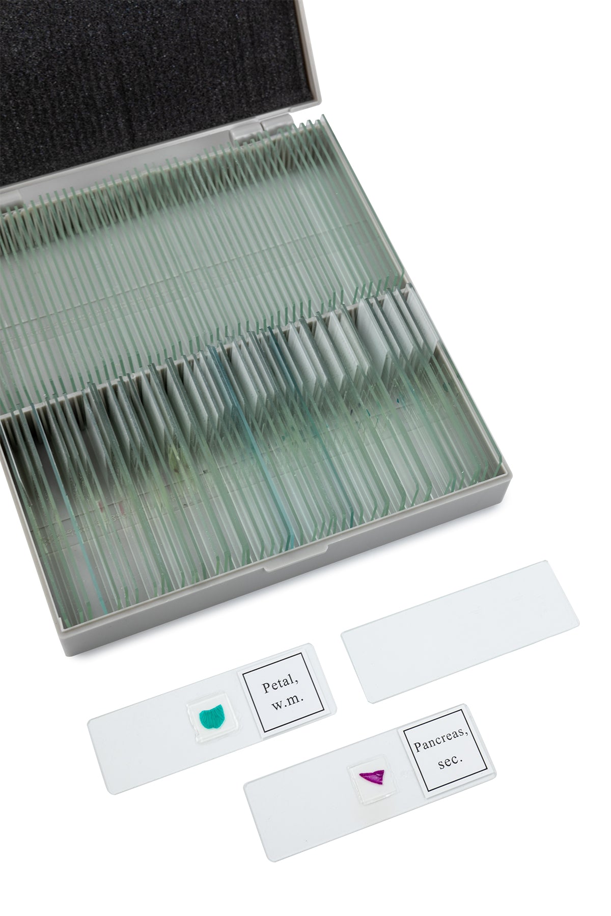 TetraView 4.3