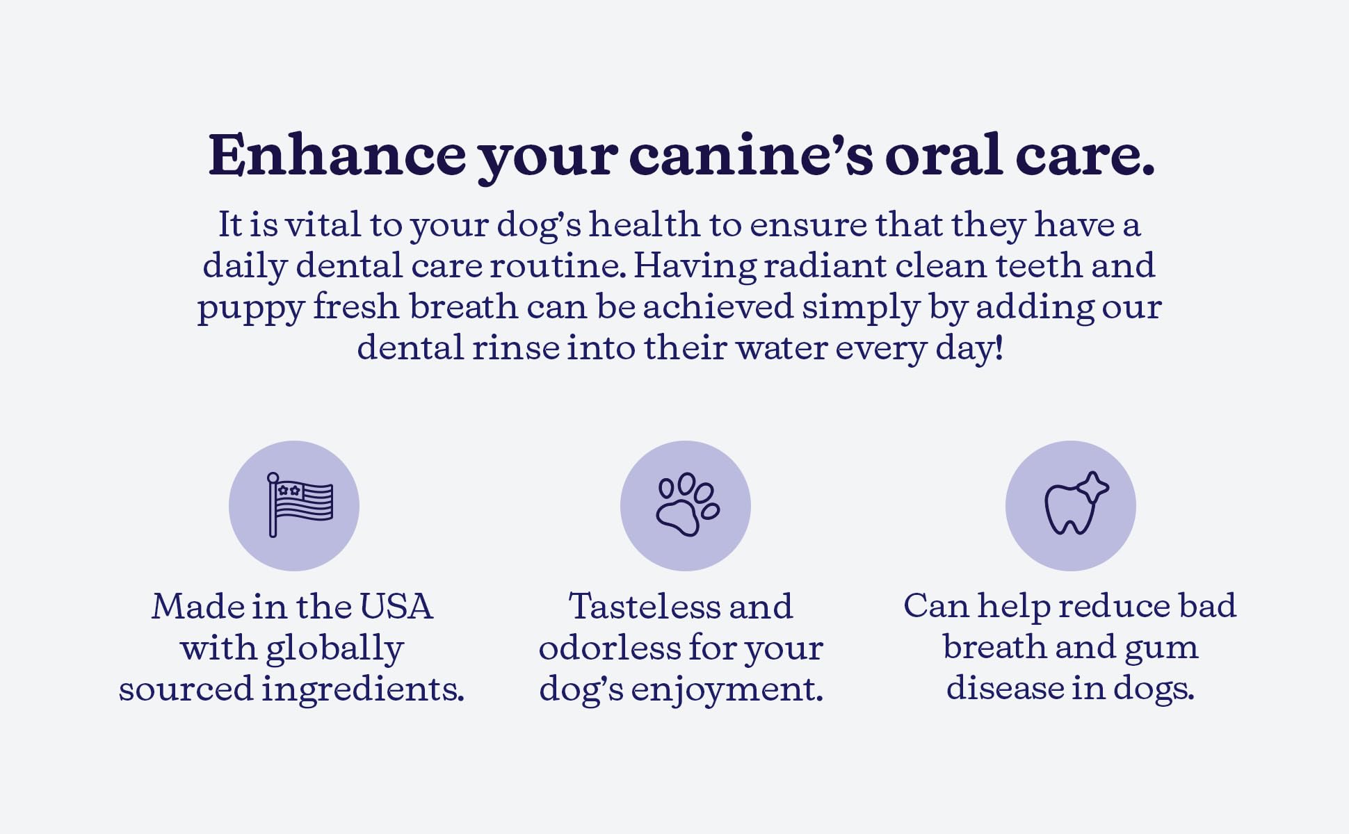ROSEY'S PUPPY FRESH BREATH - Dog Dental Water Additive for Fresh Breath & Teeth Cleaning - Natural Dog Breath Freshener with Plaque Control & Gum Health Support - 8 Oz Bottle - Perfect for Daily Oral Care & Bad Breath Prevention in Dogs
