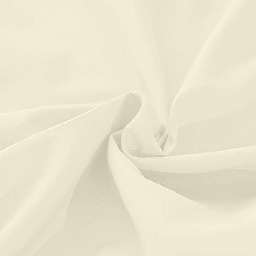 Ivory Solid