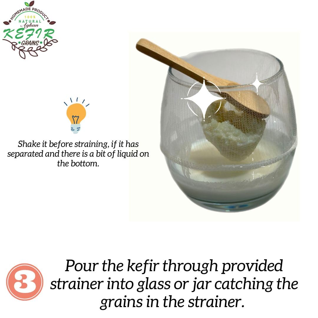 1 TBSP Fresh Milk Kefir Grains - Live Probiotic Starter Culture for Homemade Yogurt & Fermented Drinks - Includes Complete Starter Kit for Gut Health & Digestion - Perfect for Smoothies, Baking & Healthy Breakfasts