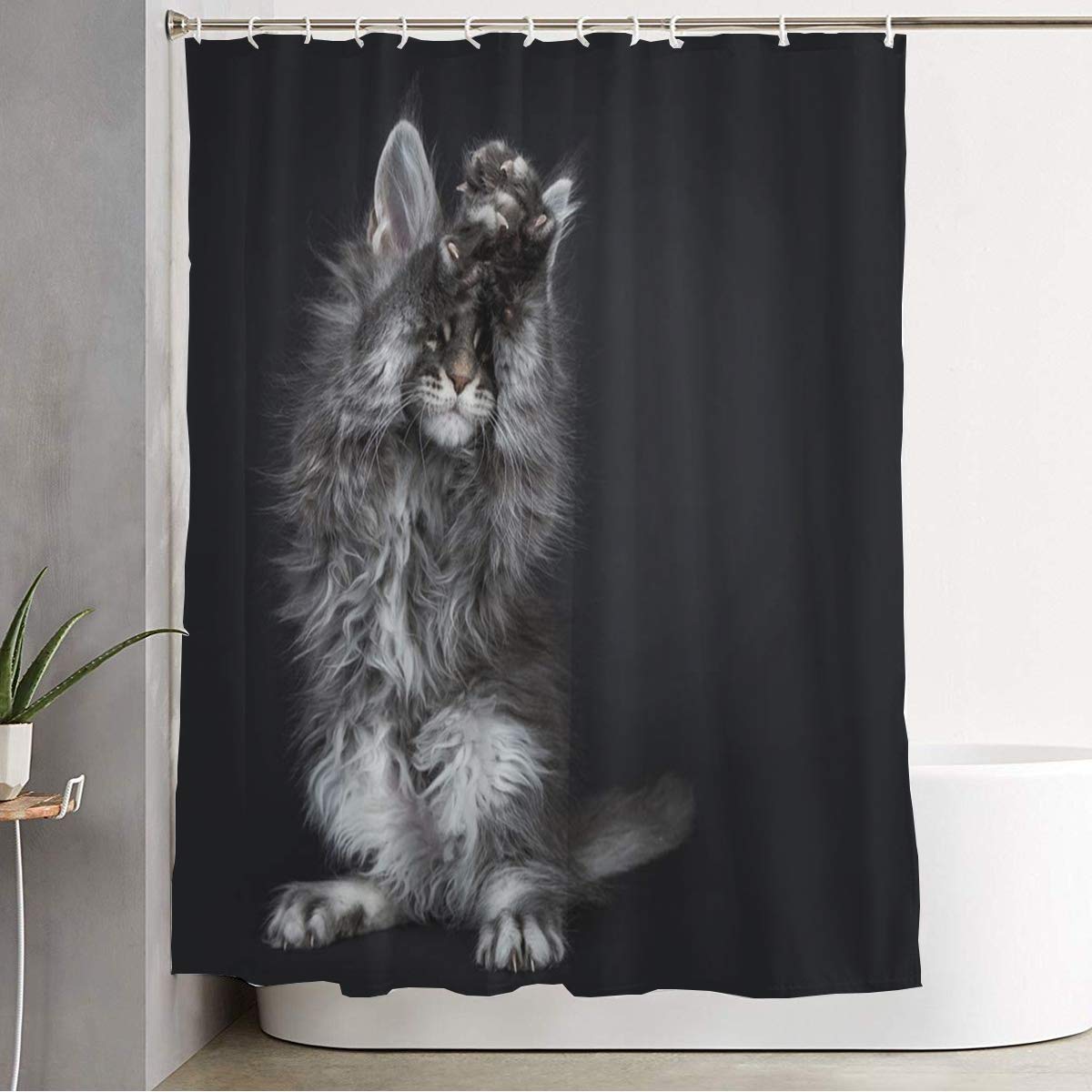 Waterproof Maine Coon Cat Shower Curtain Set 72x72 Inches - Blue Silver Wildlife Design with Hooks, Cute Black Tabby Contact Pattern for Bathroom Decor | Perfect for Pet Lovers & Cozy Home Spa